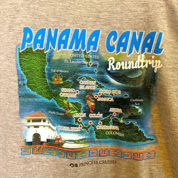 Princess Cruises Gray Tee Shirt Size Large - Picture 1 of 7